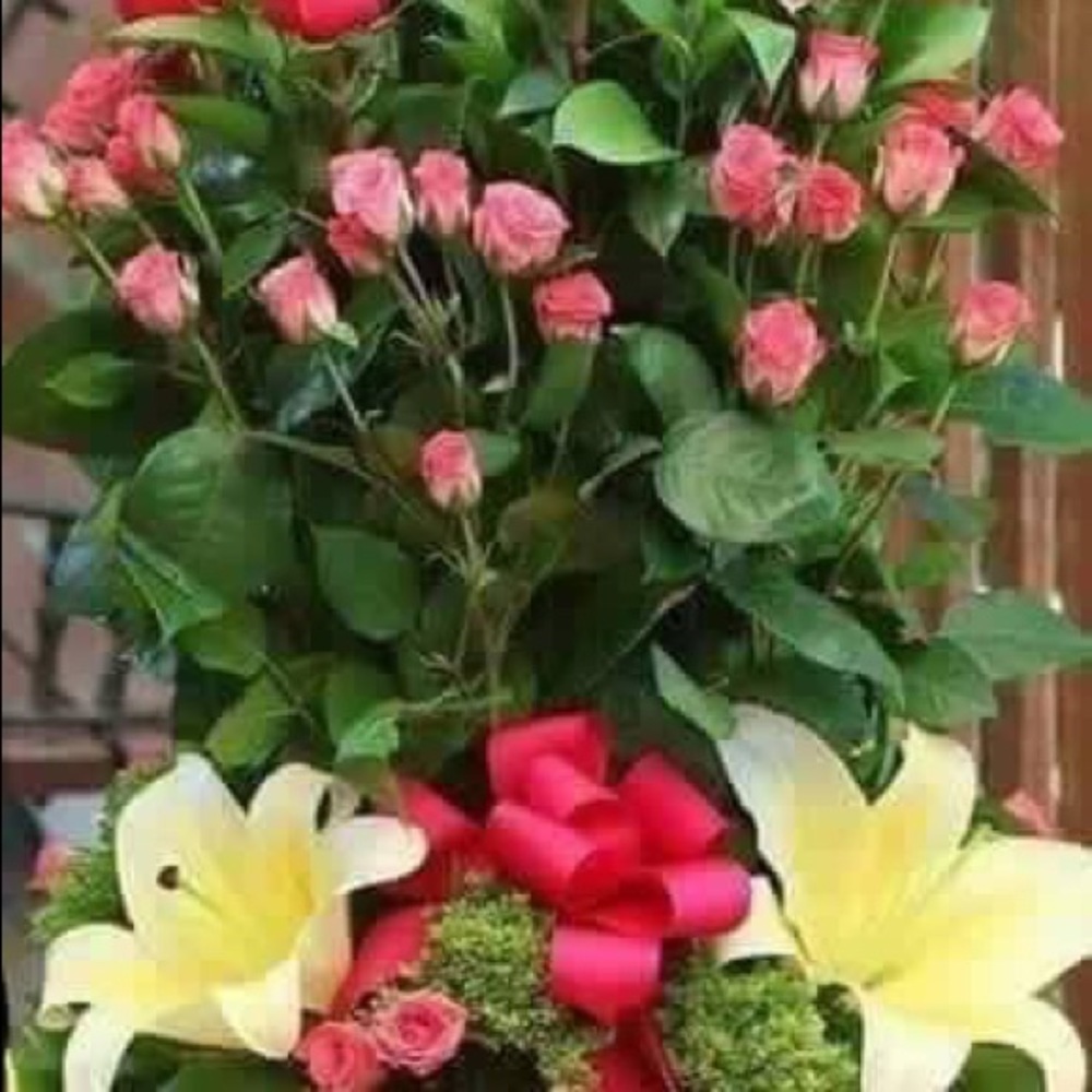 Meet your Posher, Clara